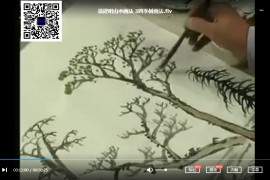 徐建明山水畫法山水畫技法視頻教程7集松樹柏樹梧樹柳樹四季樹的畫法百度云網盤下載學習